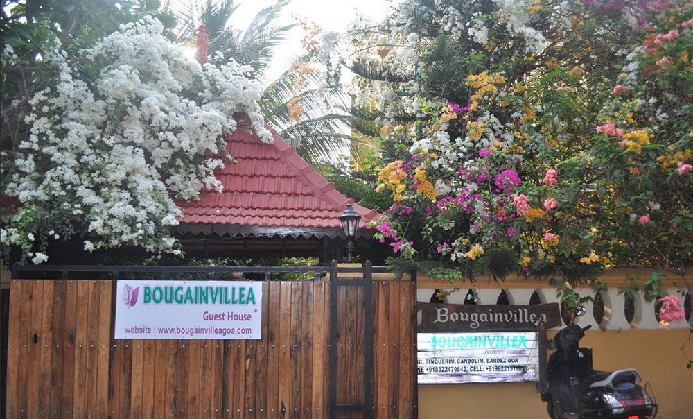 Bougainvillea Guest House Candolim Esterno foto